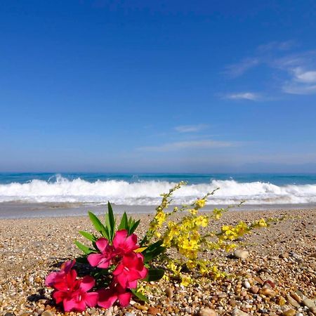 Almyra Beach House Corfu Almiros Beach Exterior foto