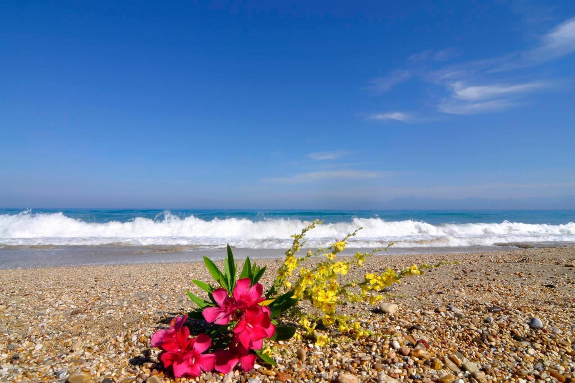 Almyra Beach House Corfu Almiros Beach Exterior foto